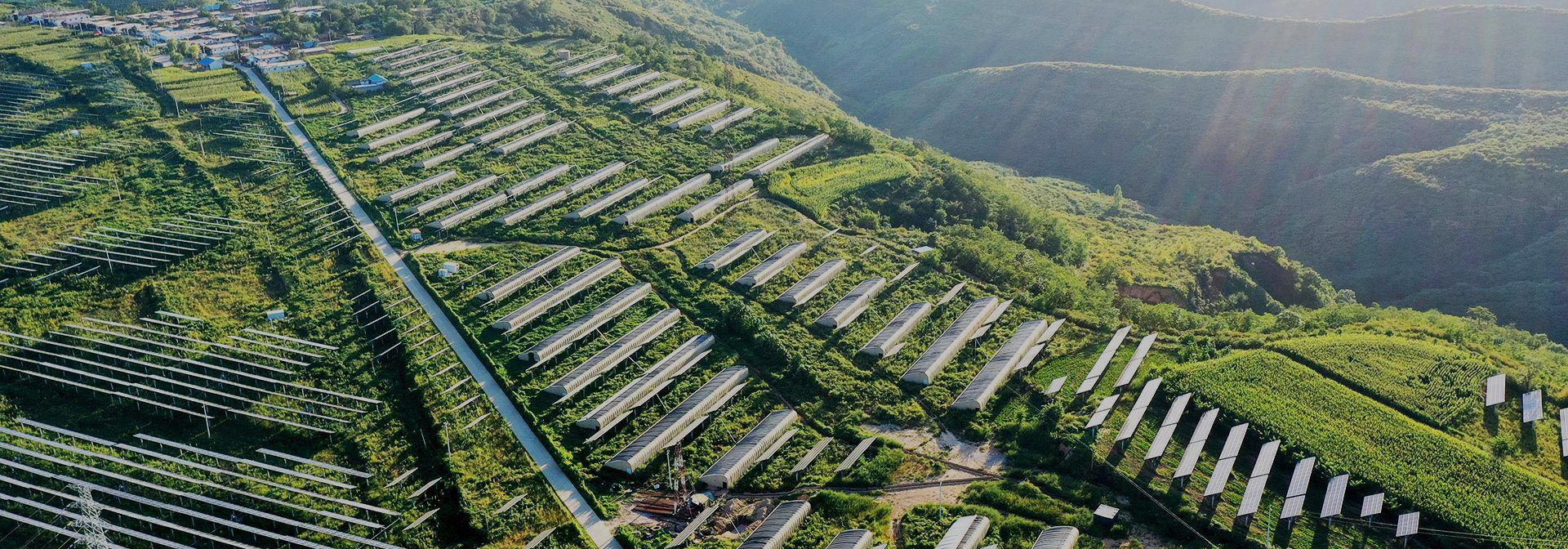 联系IM官方网页版